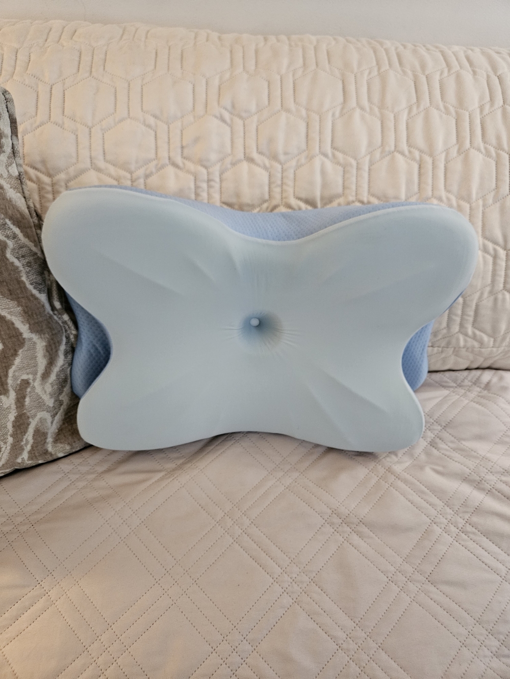 Derila Ergonomic Cervical Memory Foam Pillow in Light Blue